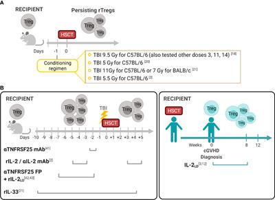 Recipient Tregs: Can They Be Exploited for Successful Hematopoietic Stem Cell Transplant Outcomes?